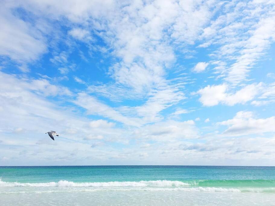 Lovely Sandestin With Balcony And Sunset View Appartement
